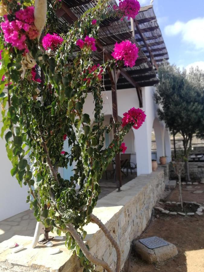Gio St Gio Apartment 1 Antiparos St.Giorgio Exterior foto